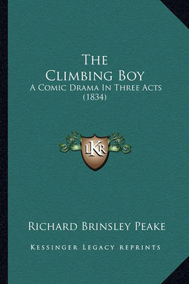 Book cover for The Climbing Boy the Climbing Boy