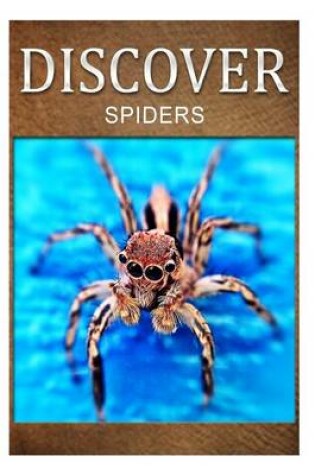 Cover of Spiders - Discover