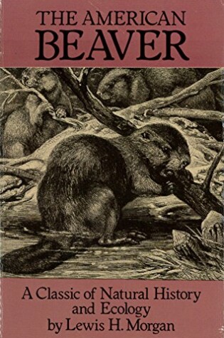 Cover of The American Beaver