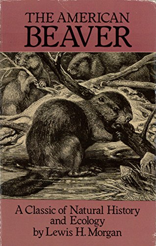 Book cover for The American Beaver