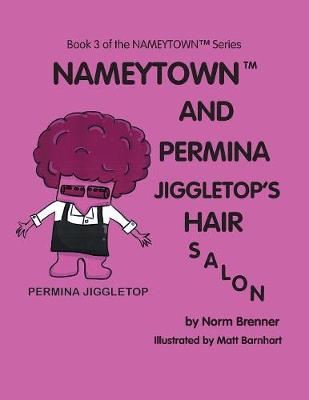 Book cover for Nameytown and Permina Jiggletop'S Hair Salon