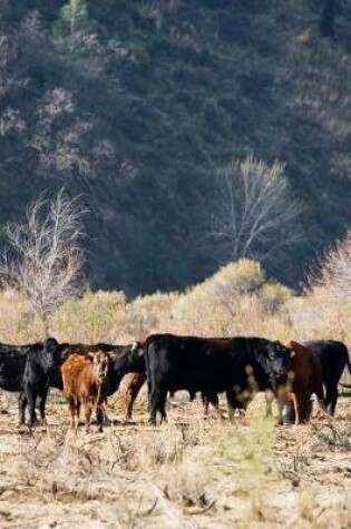 Cover of Cattle in the Foothills of California's San Joaquin Valley Journal