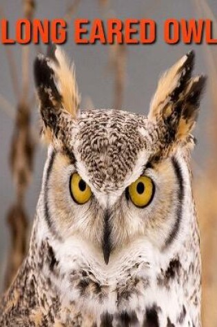 Cover of Long Eared Owl