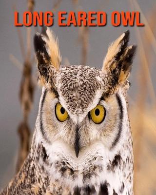 Book cover for Long Eared Owl