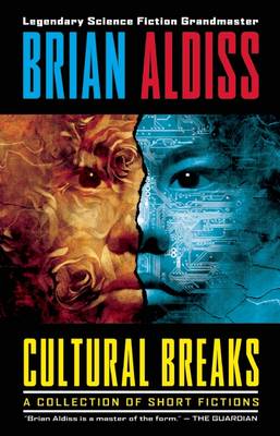 Book cover for Cultural Breaks