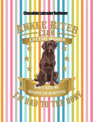 Book cover for Chocolate Labrador