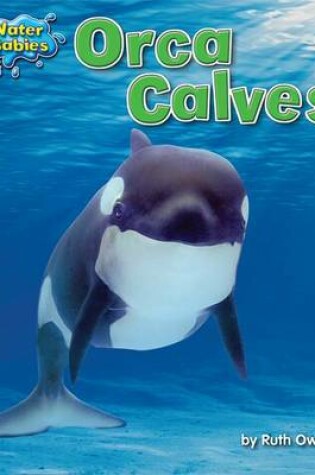 Cover of Orca Calves