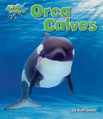 Cover of Orca Calves