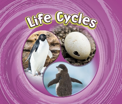 Cover of Life Cycles