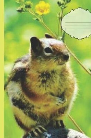 Cover of Cute Chipmunk Squirrel Yellow flower Wildlife Photograph College-ruled Lined School Composition Notebook