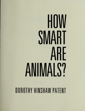 Book cover for How Smart Are Animals?