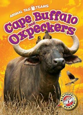 Book cover for Cape Buffalo and Oxpeckers