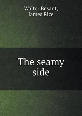 Book cover for The seamy side
