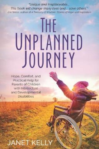 Cover of The Unplanned Journey
