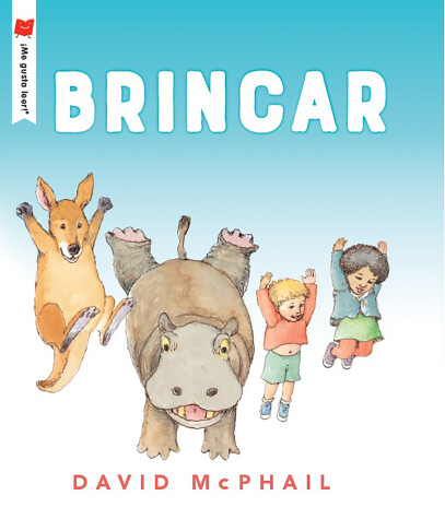 Book cover for Brincar