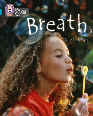 Book cover for Breath