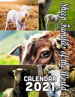 Book cover for Sheep Families of the World Calendar 2021