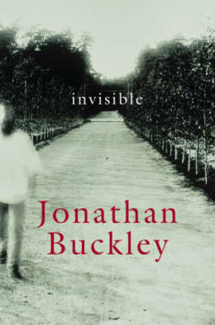 Cover of Invisible