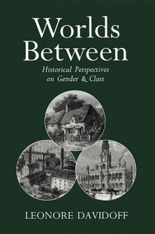 Cover of Worlds Between: Historical Perspectives on Gender and Class