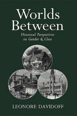 Book cover for Worlds Between: Historical Perspectives on Gender and Class