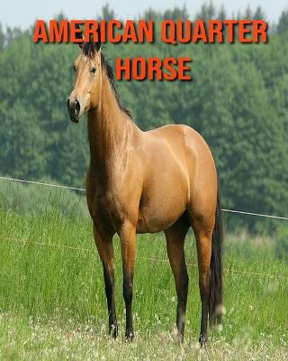 Cover of American Quarter Horse