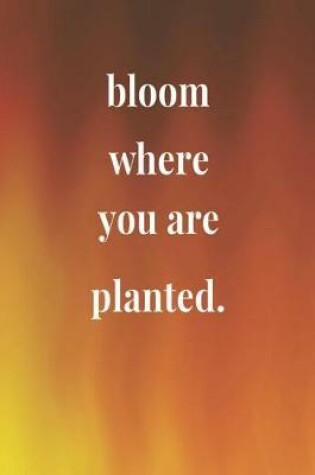 Cover of Bloom Where You Are Planted