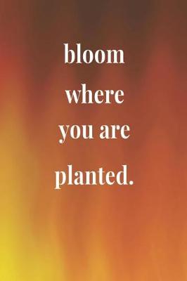 Book cover for Bloom Where You Are Planted