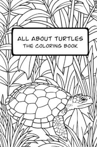 Cover of All About Turtles