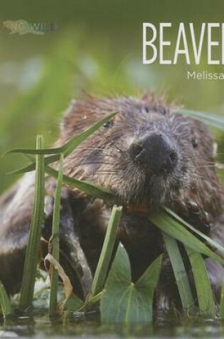 Cover of Beavers