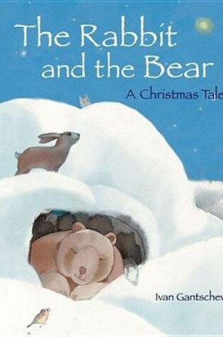 Cover of Rabbit and the Bear