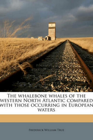 Cover of The Whalebone Whales of the Western North Atlantic Compared with Those Occurring in European Waters
