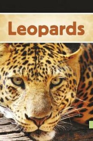 Cover of Leopards