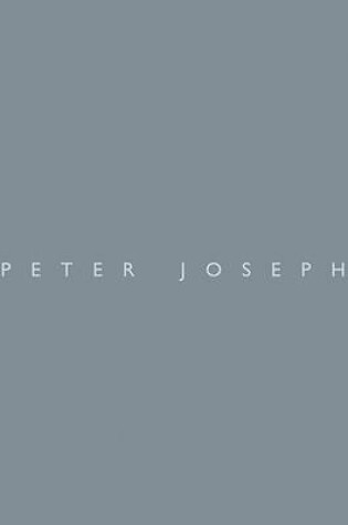 Cover of Peter Joseph at the Lisson Gallery