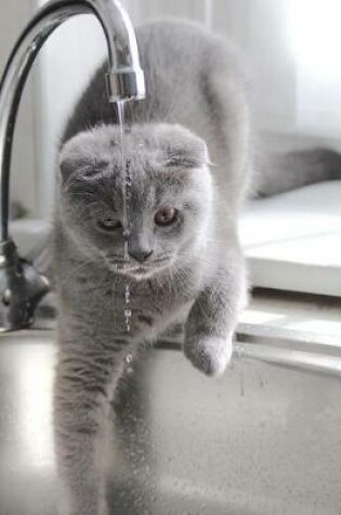 Cover of Gray Cat Drinking from the Faucet Journal