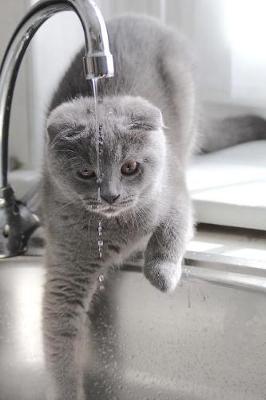 Book cover for Gray Cat Drinking from the Faucet Journal