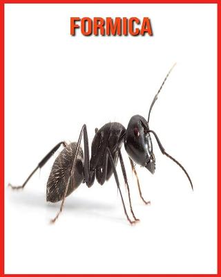 Book cover for Formica