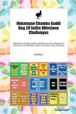 Book cover for Himalayan Chamba Gaddi Dog 20 Selfie Milestone Challenges Himalayan Chamba Gaddi Dog Milestones for Memorable Moments, Socialization, Indoor & Outdoor Fun, Training Volume 3