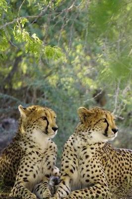 Book cover for Two Elegant Curious Cheetahs Big Cats Journal