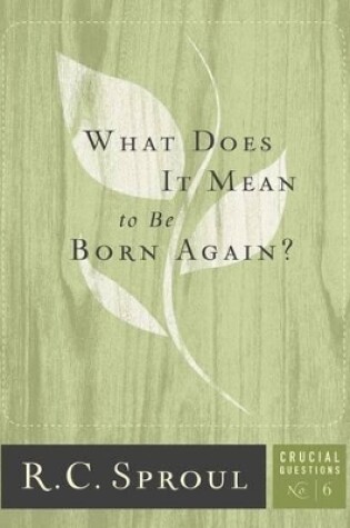Cover of What Does It Mean To Be Born Again?
