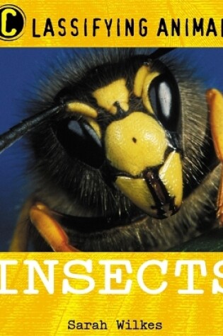 Cover of Classifying Animals: Insects