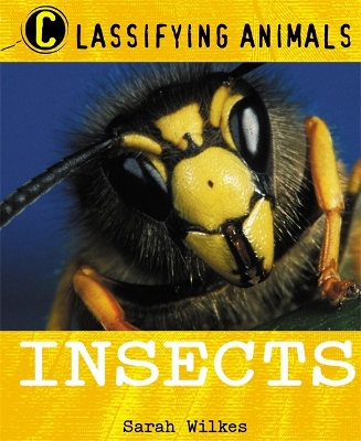 Cover of Classifying Animals: Insects