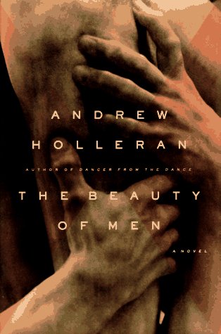 Book cover for The Beauty of Men