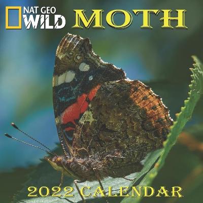 Book cover for Moth Calendar 2022