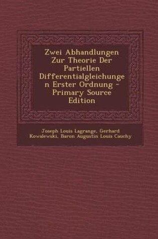 Cover of Zwei Abhandlungen Zur Theorie Der Partiellen Differentialgleichungen Erster Ordnung