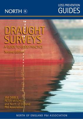 Book cover for Draught Surveys