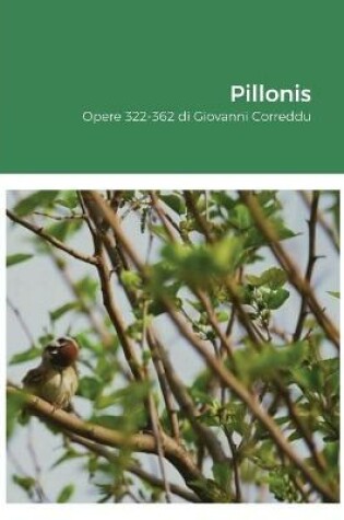 Cover of Pillonis