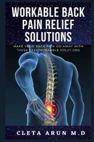 Cover of Workable Back Pain Relief Solutions