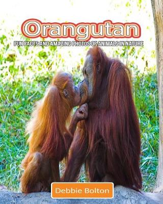 Book cover for Orangutan