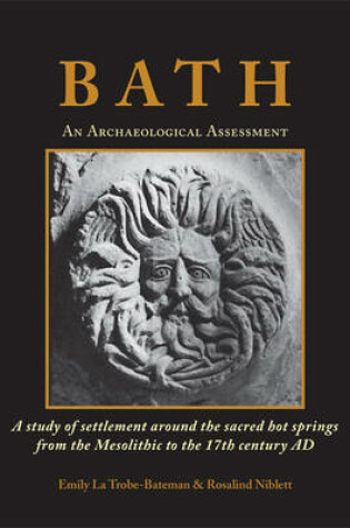 Cover of Bath: An Archaeological Assessment