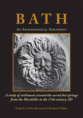 Book cover for Bath: An Archaeological Assessment